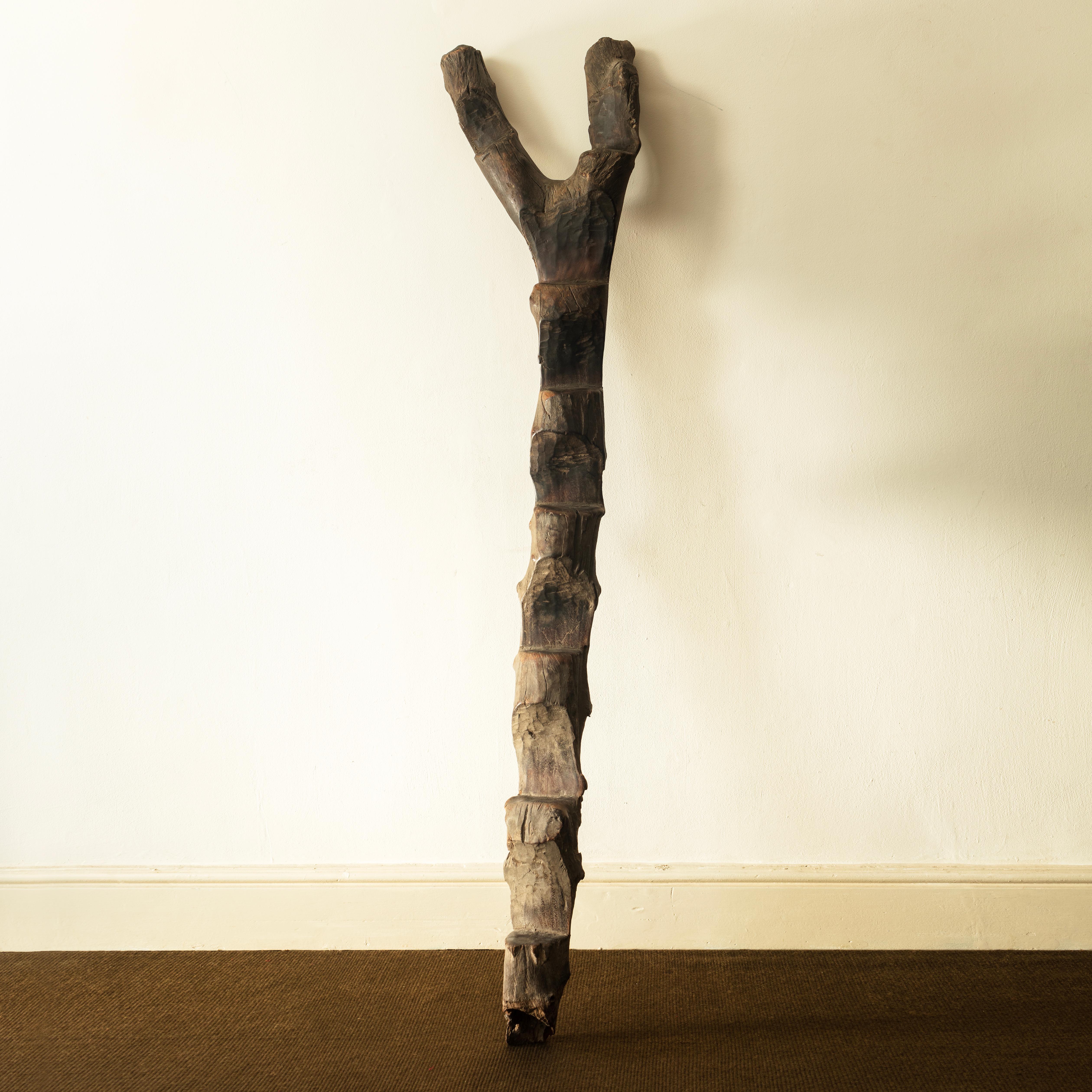Una buona scala Dogon con una patinatura eccezionale. Queste scale, ricavate da tronchi d'albero, venivano tradizionalmente utilizzate per accedere ai granai sollevati su palafitte per proteggere il contenuto da parassiti indesiderati.
Mali anni