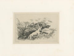 Dogs Attacking a Wild Boar, Dramatic Sporting Etching by J.F. Tayler, 1872