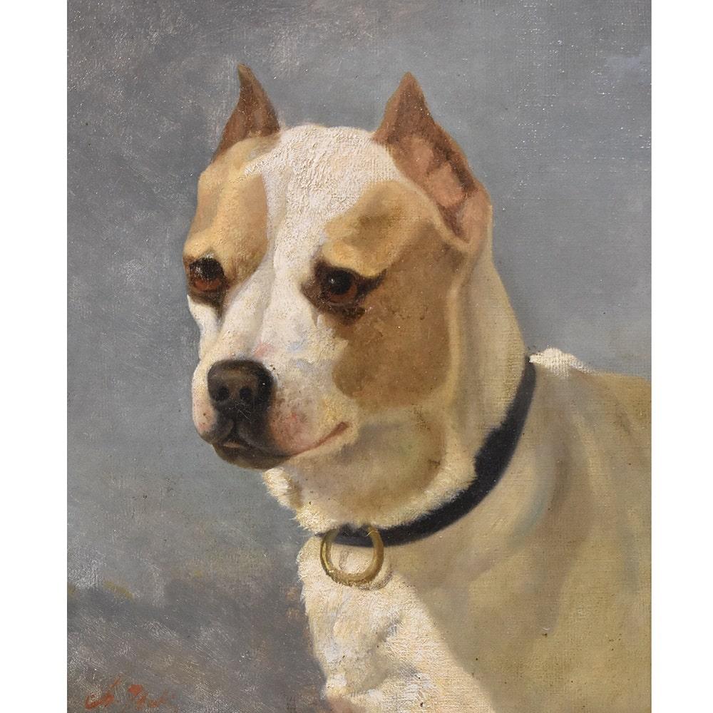 This is a portrait artwork of a Small Dog. Portraits of Dogs proposes an oil painting on canvas with a pleasant portrait
of a small brown and white dog with a collar from the end of the 19th century. This oil painting has an original  golden