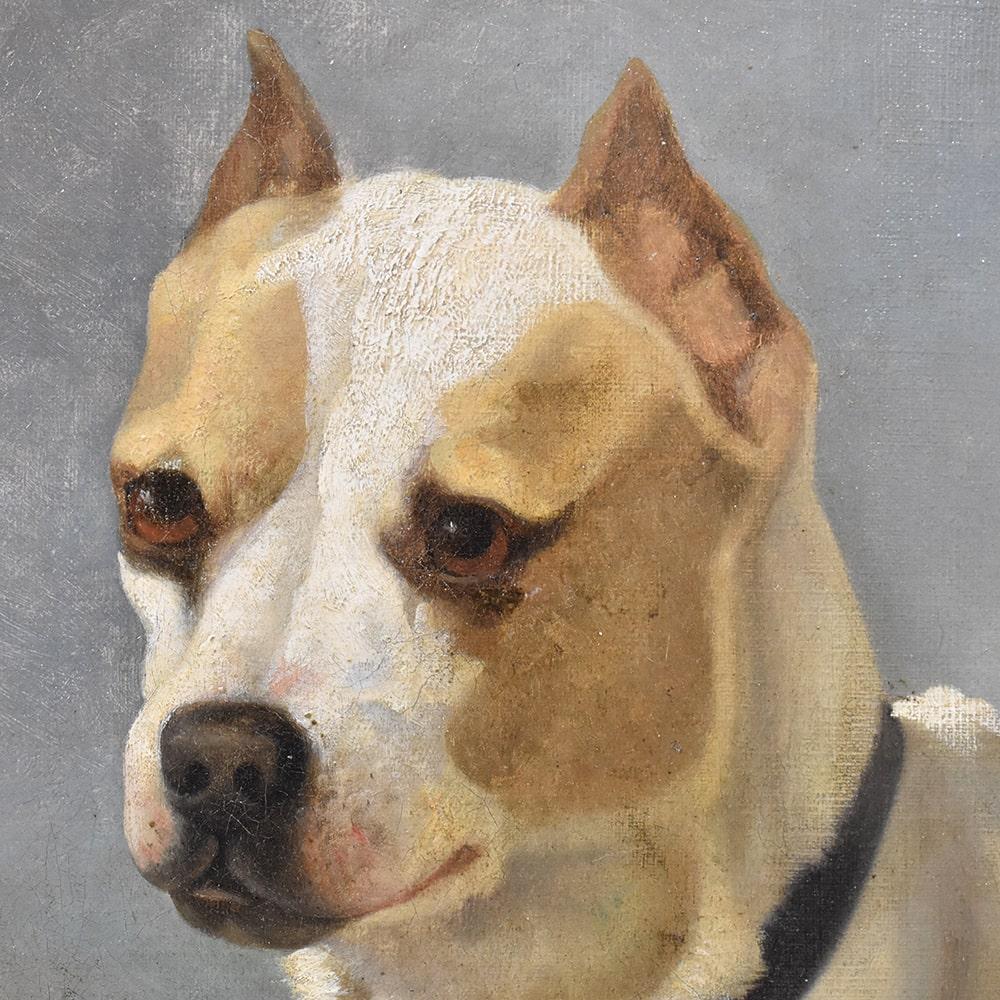 French Dogs Portrait Painting, Small Dog, Oil Painting on Canvas, 19th Century