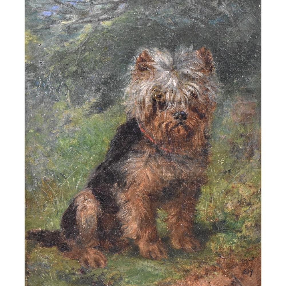 This is a portrait artwork of a Small Dog. Portraits of Dogs proposes an oil painting on canvas with a pleasant portrait
of a small brown and white dog with a collar from the end of the 19th century.

 A Yorkshire Terrier, a pet dog named after