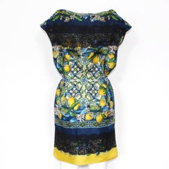 Dolce & Gabbana Floral and Lemon Dress