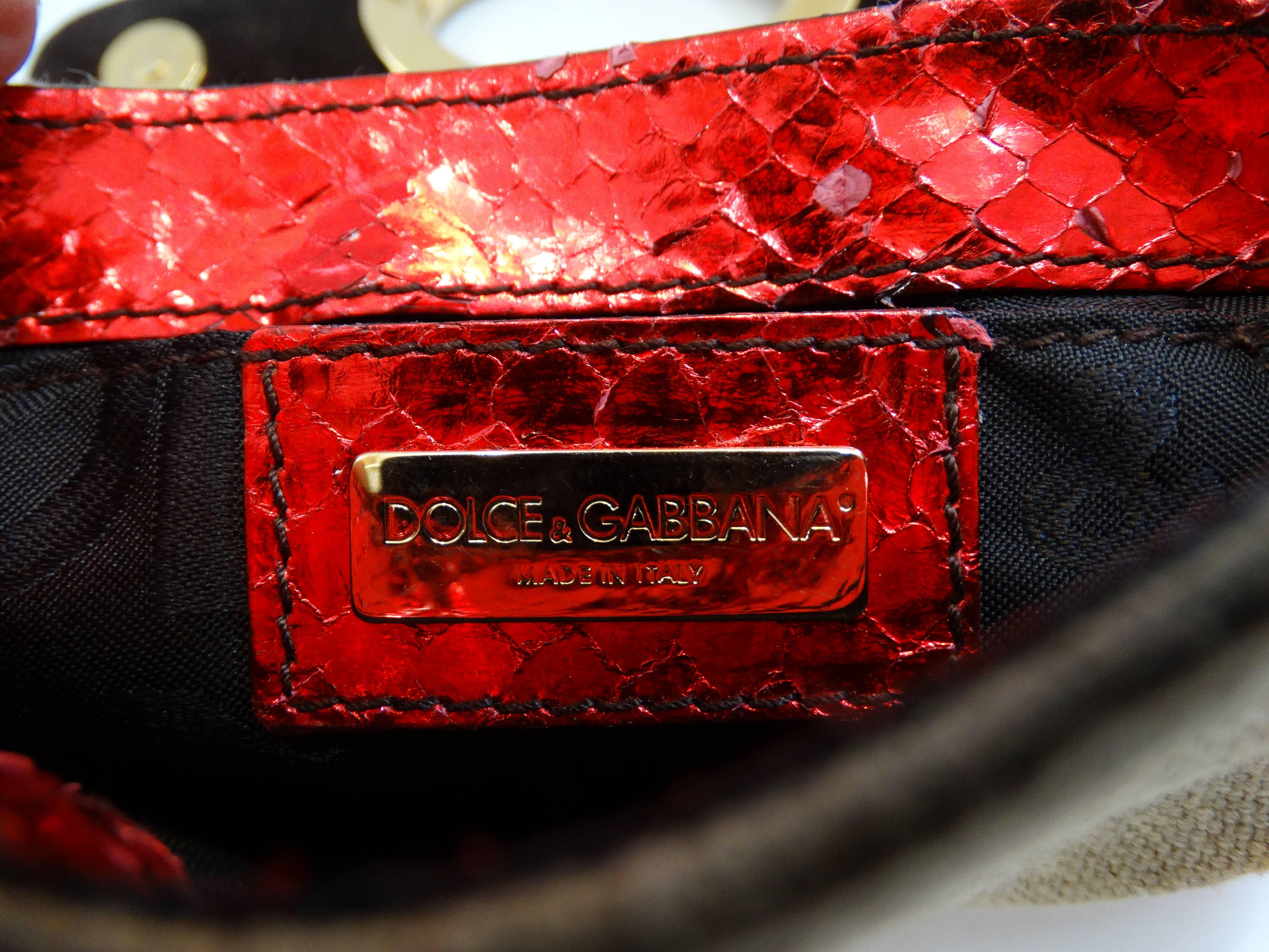 Dolce & Gabbana Metallic Snakeskin Mini Bag  4