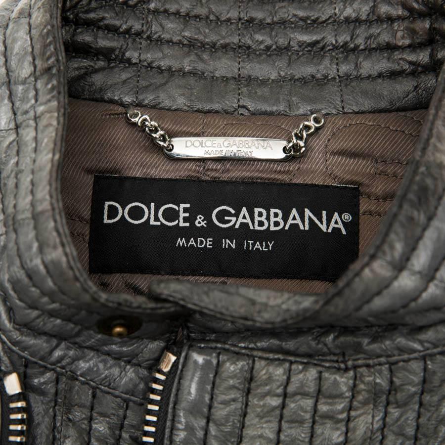 DOLCE & GABBANA Perfecto in Gray Eel Leather Size 50 3