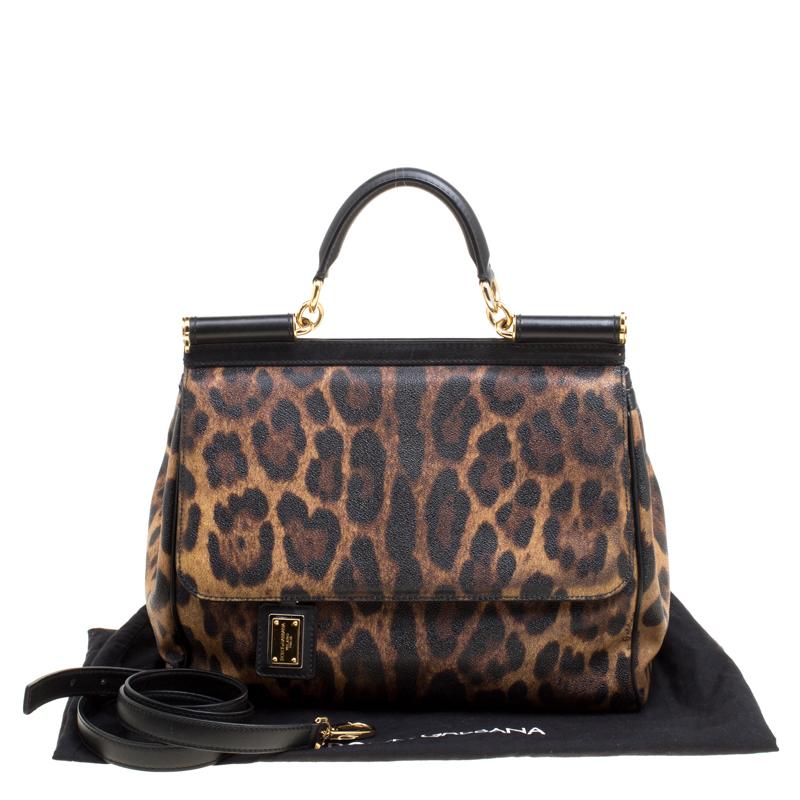 Dolce and Gabbana Brown Leopard Print Coated Canvas Large Miss Sicily Top Handle 5