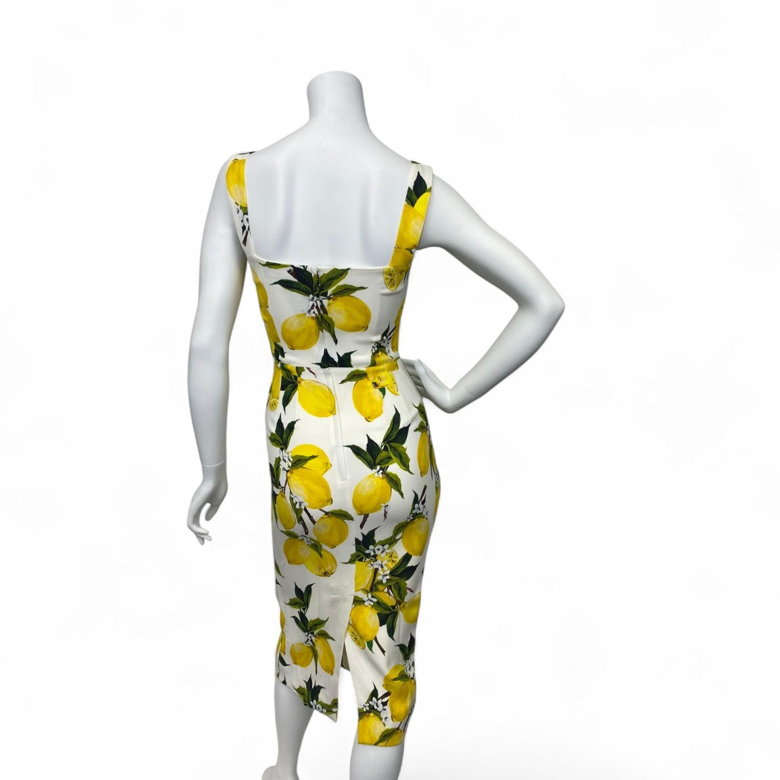 Women's Dolce and Gabbana Lemon Print Sleeveless Midi Sheath Dress Sz: 38 For Sale