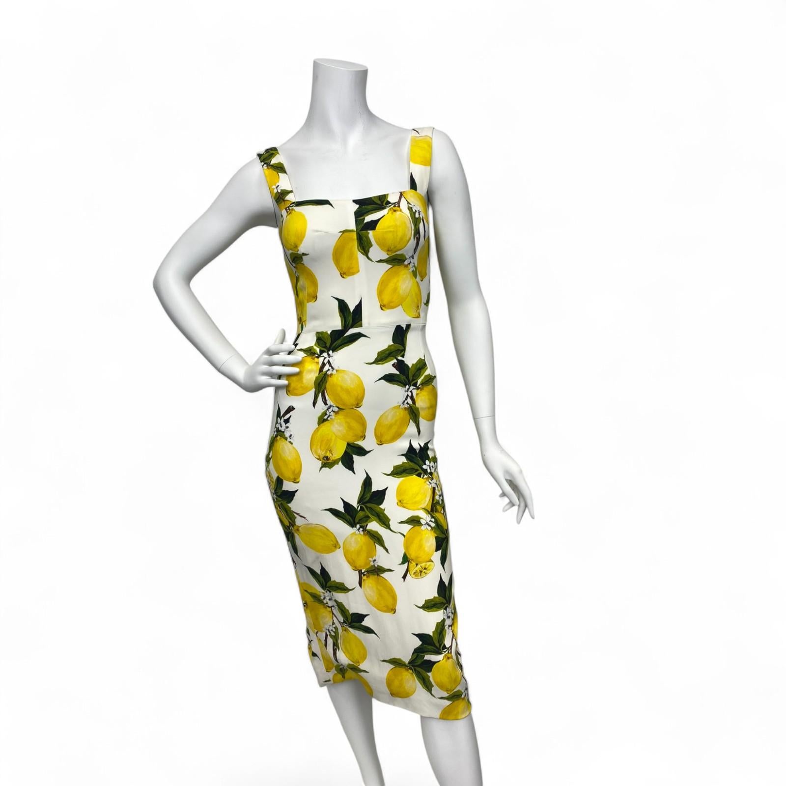 Dolce and Gabbana Lemon Print Sleeveless Midi Sheath Dress Sz: 38 For Sale 1