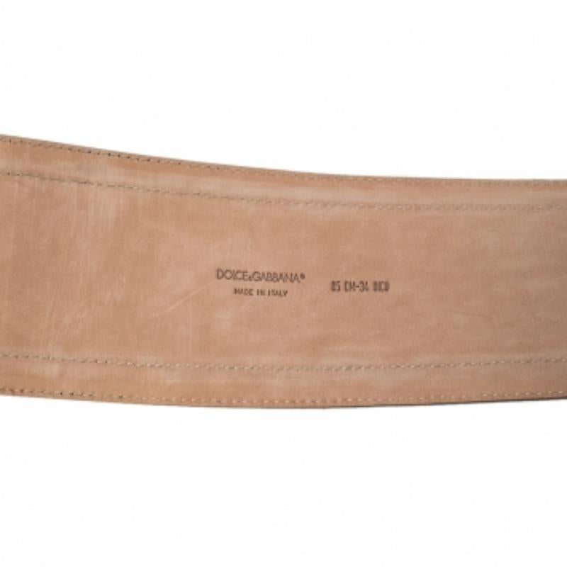 Women's Dolce and Gabbana Multicolor Snakeskin Waist Belt 85cm