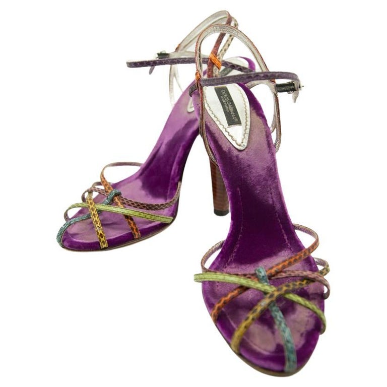 dolce and gabbana purple shoes