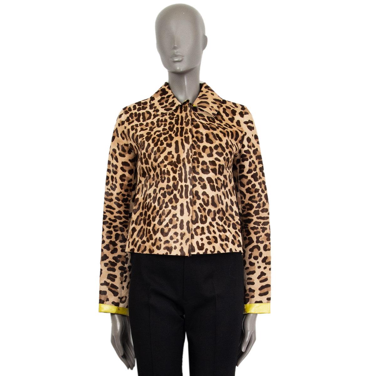 Kurze Jacke mit Leopardenmuster von Dolce & Gabbana aus braunem, mokkafarbenem und beigem Kalbshaar (das Etikett wurde entfernt) mit flachem Kragen. Wird auf der Vorderseite mit Druckknöpfen geschlossen. Das Innenleder ist neongrün und die