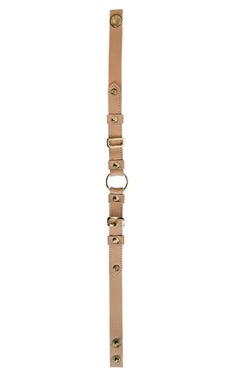 Dolce & Gabbana Brown Leather Choker W Gold Hardware