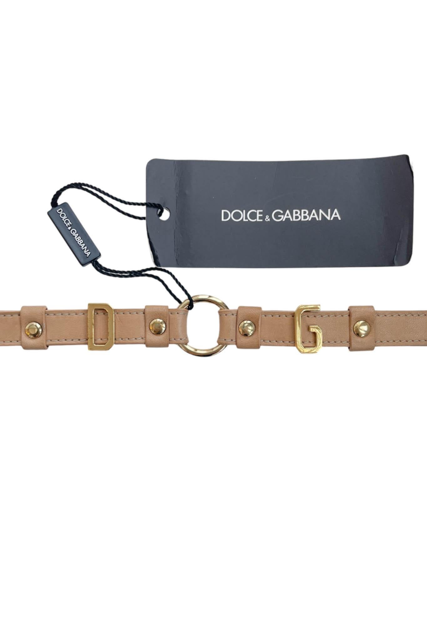 Dolce & Gabbana Brown Leather Choker W Gold Hardware For Sale 1