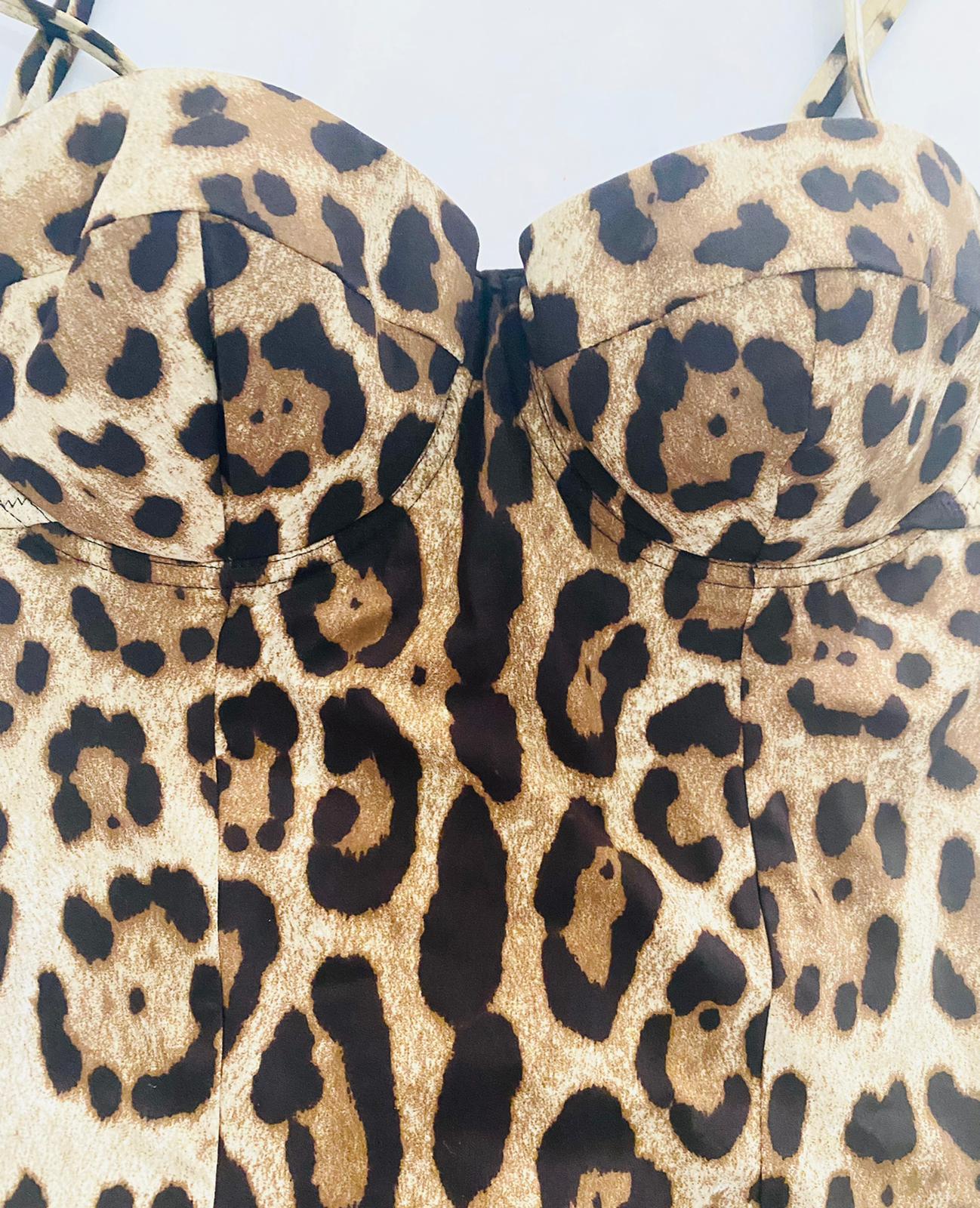 Dolce & Gabbana Brown Leopard One-piece Full Swimsuit Swimwear Beachwear Bikini 4