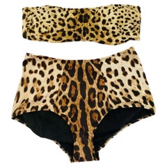 Dolce & Gabbana Brown Leopard Two-piece Swimsuit Swimwear Bikini Beachwear Set