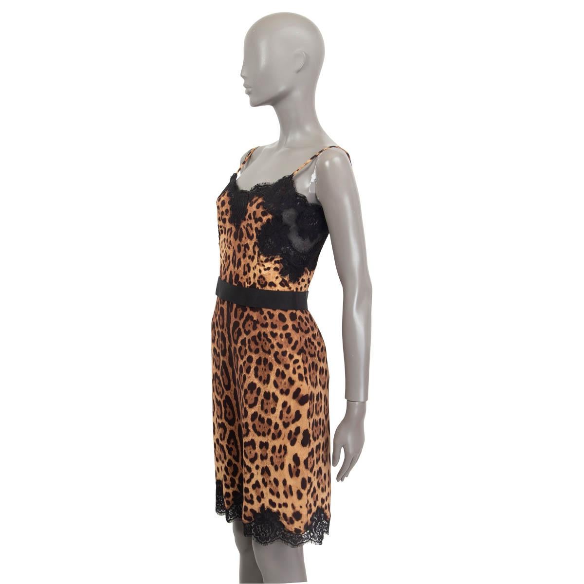 DOLCE & GABBANA brown silk LEOPARD & LACE Sheath Dress 40 S In Excellent Condition For Sale In Zürich, CH
