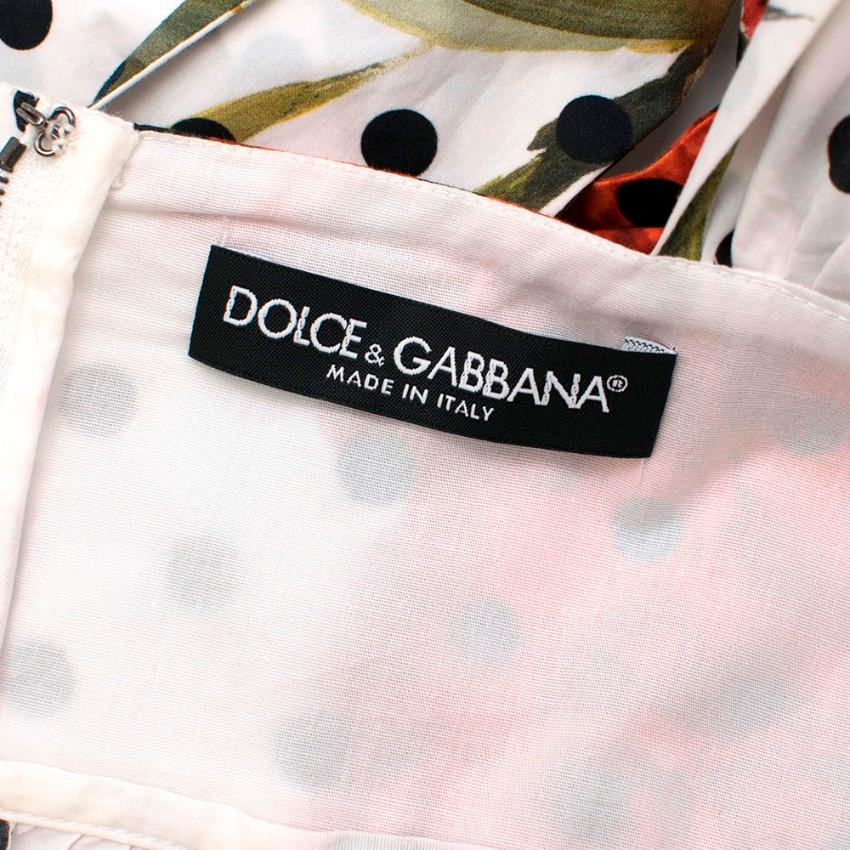 Beige Dolce & Gabbana Carnation And Polka-Dot Print Dress Size US 6