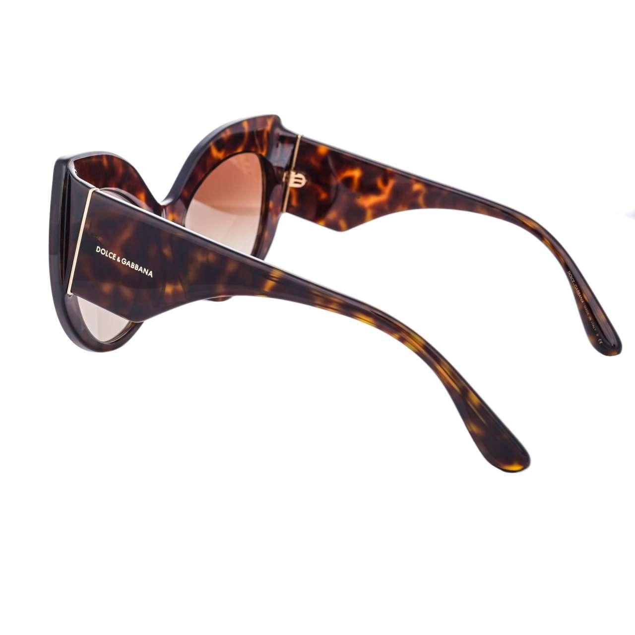 dg cat eye sunglasses