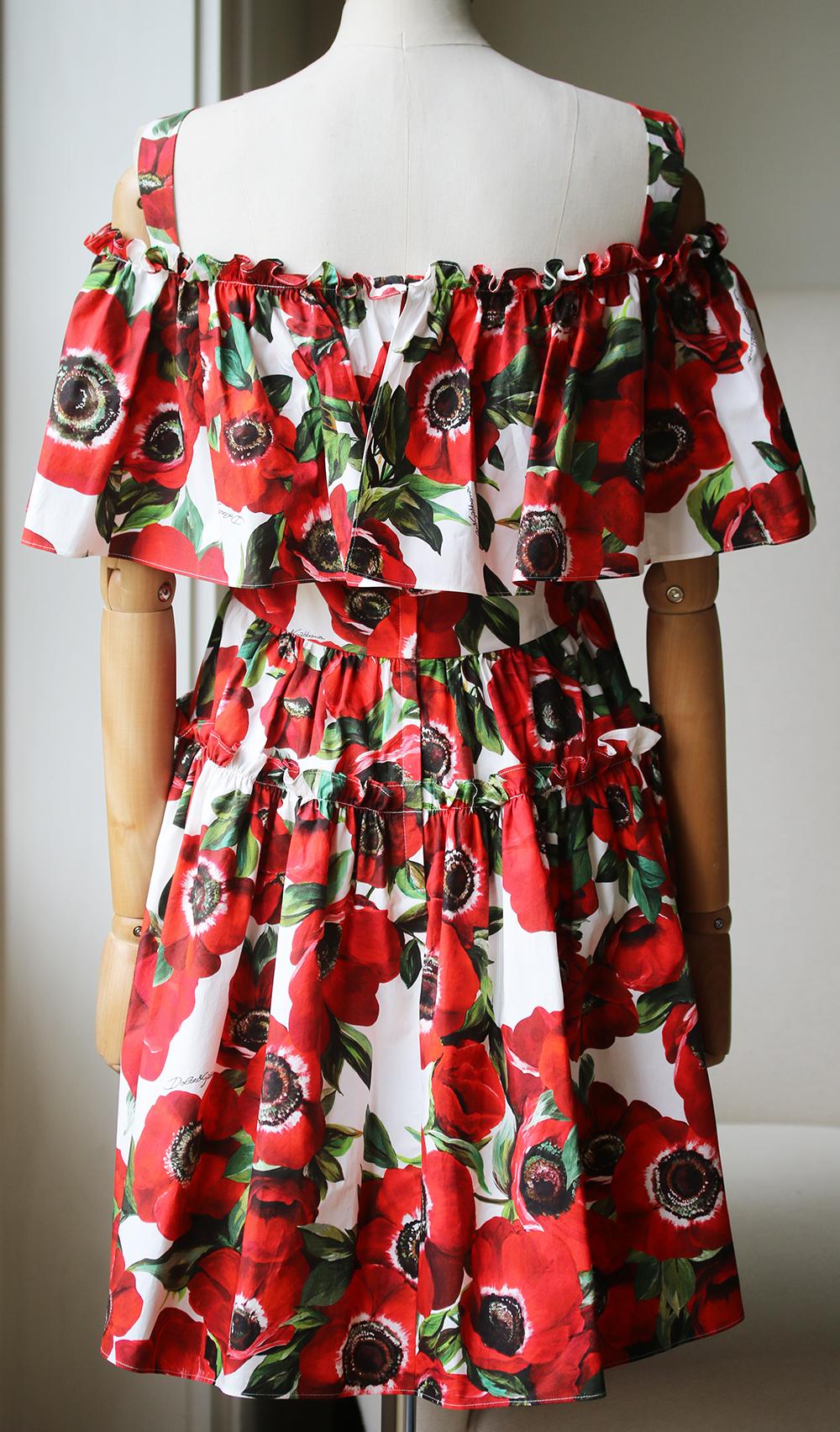dolce gabbana poplin dress