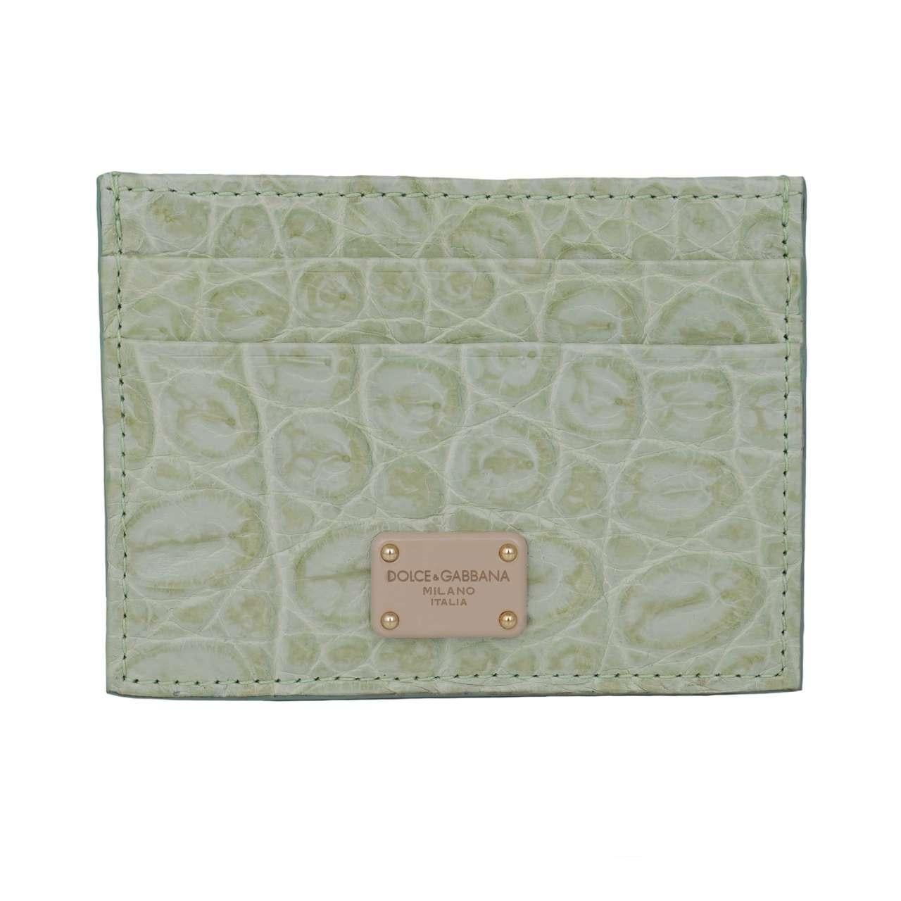 Men's Dolce & Gabbana - Crocodile Leather Card Etui Wallet with Logo Plate Light Green For Sale