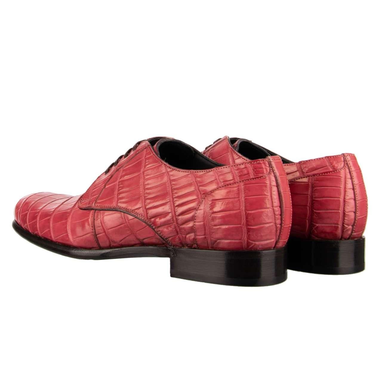 - Very exclusive and rare, formal crocodile leather derby shoes SIENA in pink by DOLCE & GABBANA - MADE IN ITALY - Former RRP: EUR 4.950 - New with Box - Model: A10037-A2D14-80404 - Material: 100% Crocodile Leather (Coccodrillo) - Sole: Leather -