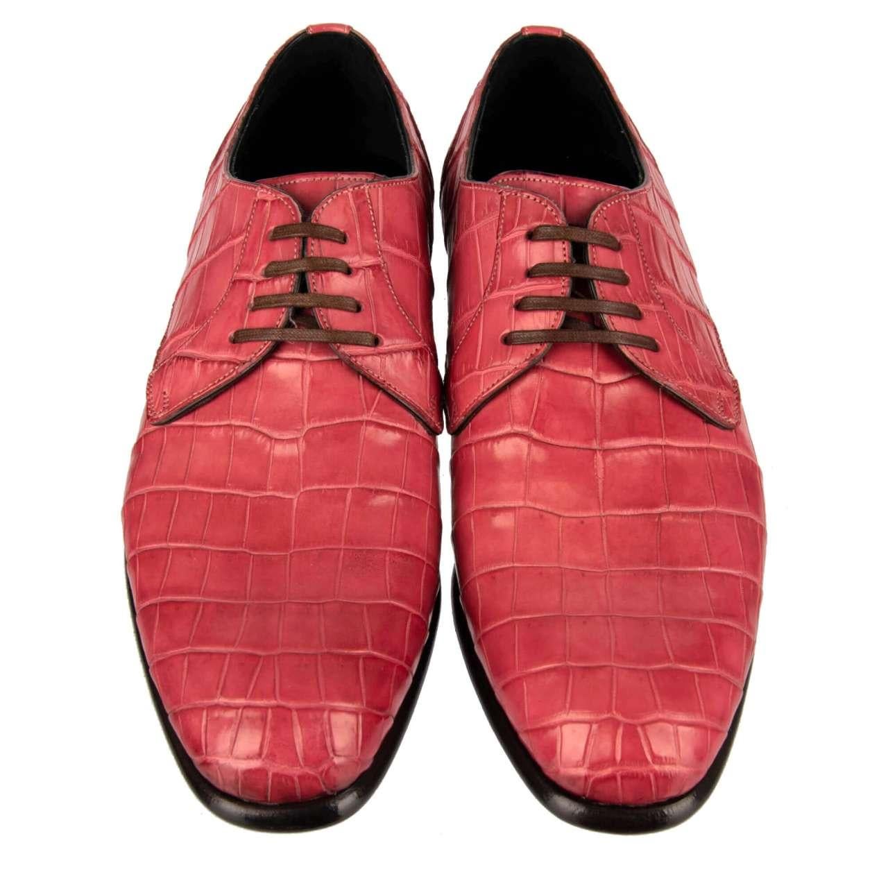 Dolce & Gabbana Crocodile Leather Derby Shoes SIENA Pink EUR 39 In Excellent Condition For Sale In Erkrath, DE