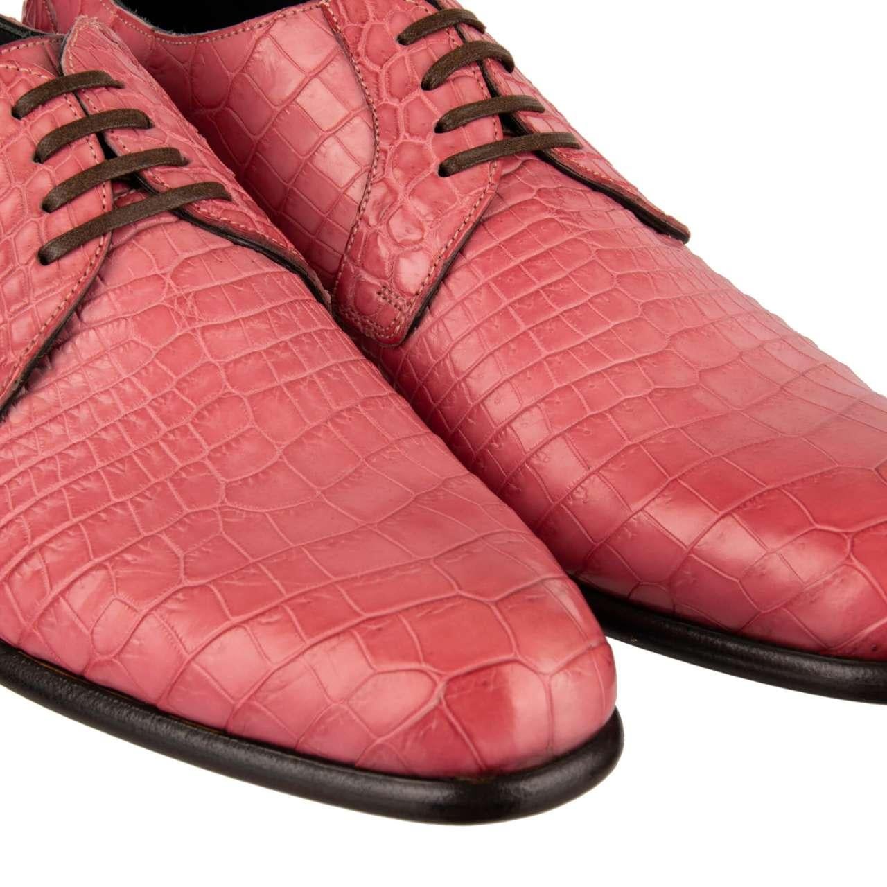 Men's Dolce & Gabbana Crocodile Leather Derby Shoes SIENA Pink EUR 39 For Sale