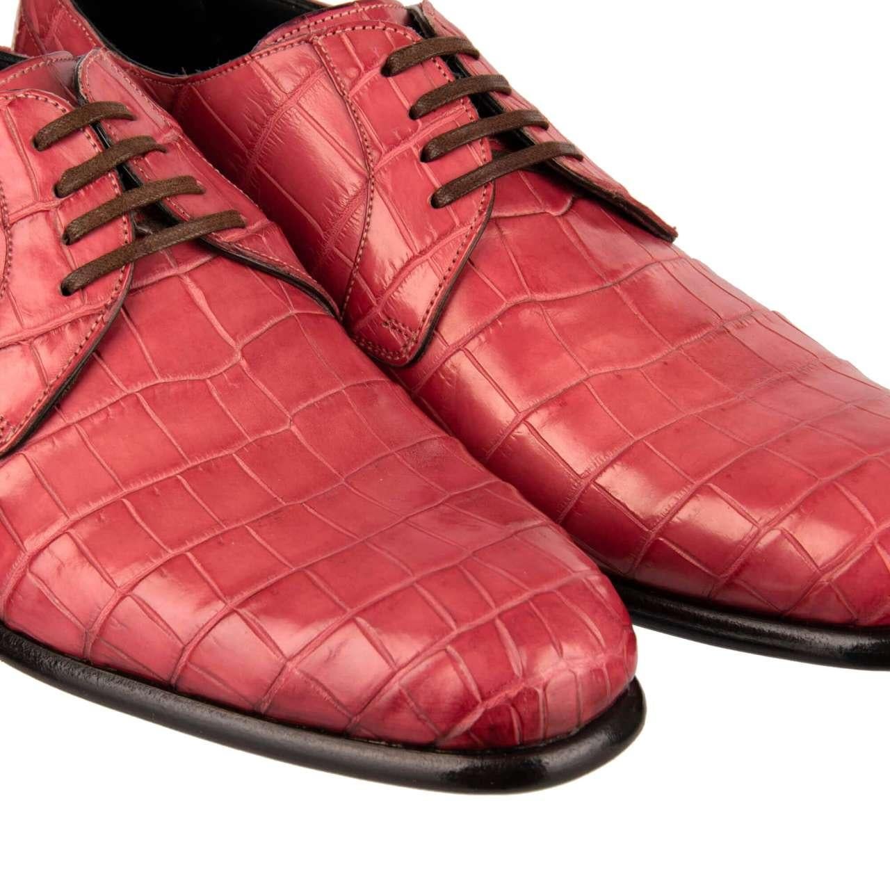 Dolce & Gabbana Crocodile Leather Derby Shoes SIENA Pink EUR 39 For Sale 1