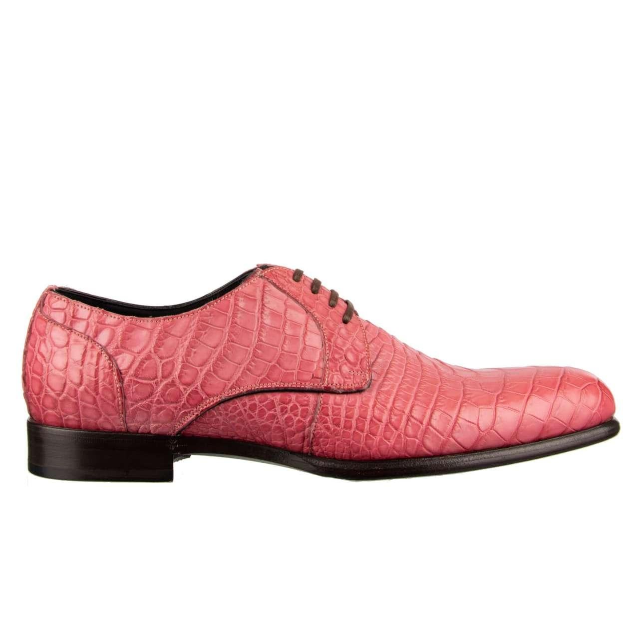 Dolce & Gabbana Crocodile Leather Derby Shoes SIENA Pink EUR 39 For Sale 4