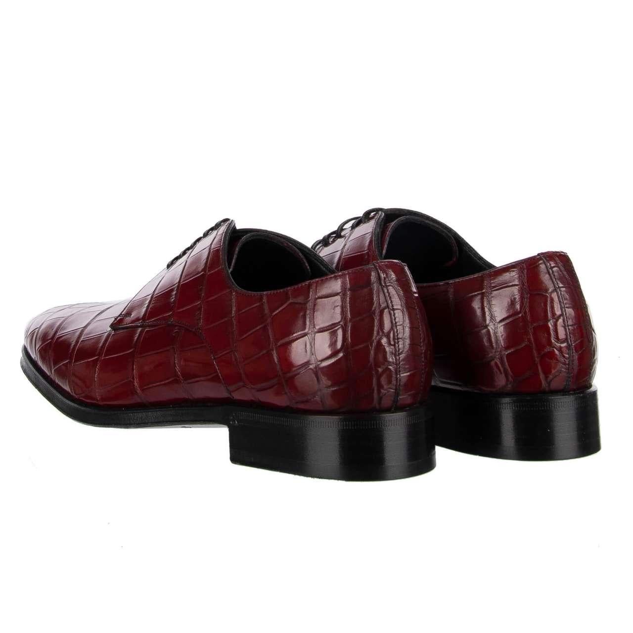 Men's Dolce & Gabbana Crocodile Leather Derby Shoes VENEZIA Bordeaux Red EUR 39 For Sale