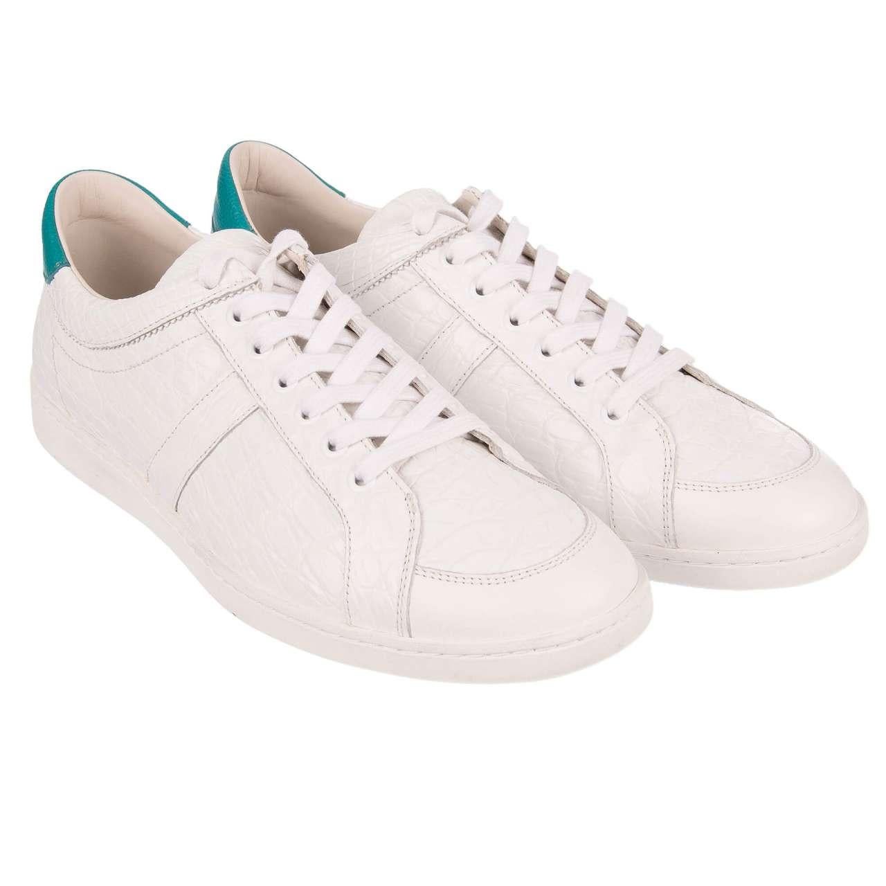 - Classic crocodile leather (caiman) sneakers GUATEMALA in white / azure with logo print by DOLCE & GABBANA - New with Box - Former RRP: EUR 1.950 - MADE IN ITALY - Model: CS1300-A2322-8B934 - Material: 87% Caiman, 13% Calfskin - Sole: Rubber -