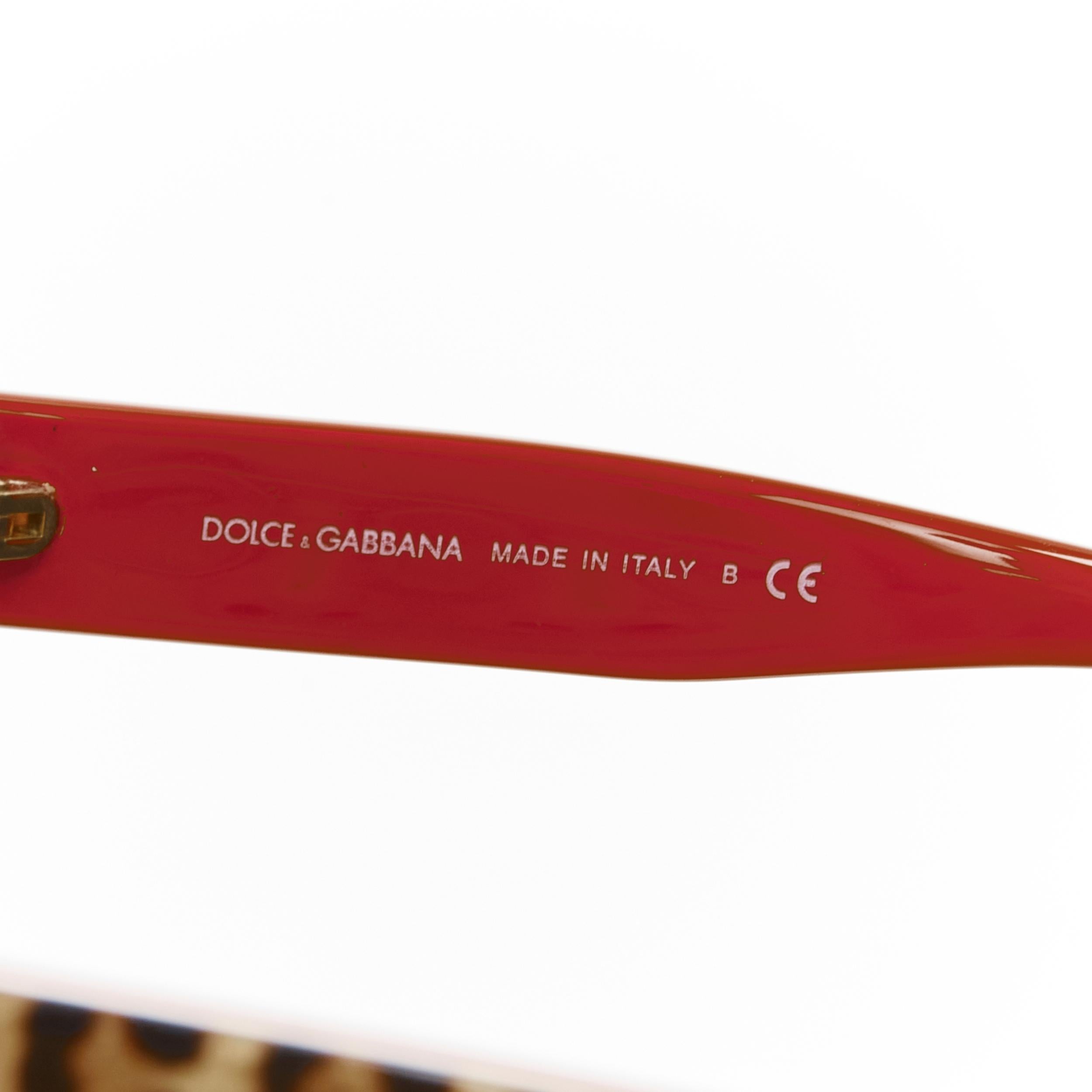 DOLCE GABBANA DG4325 Limited brown leopard print rounded Cat eye sunglasses 1