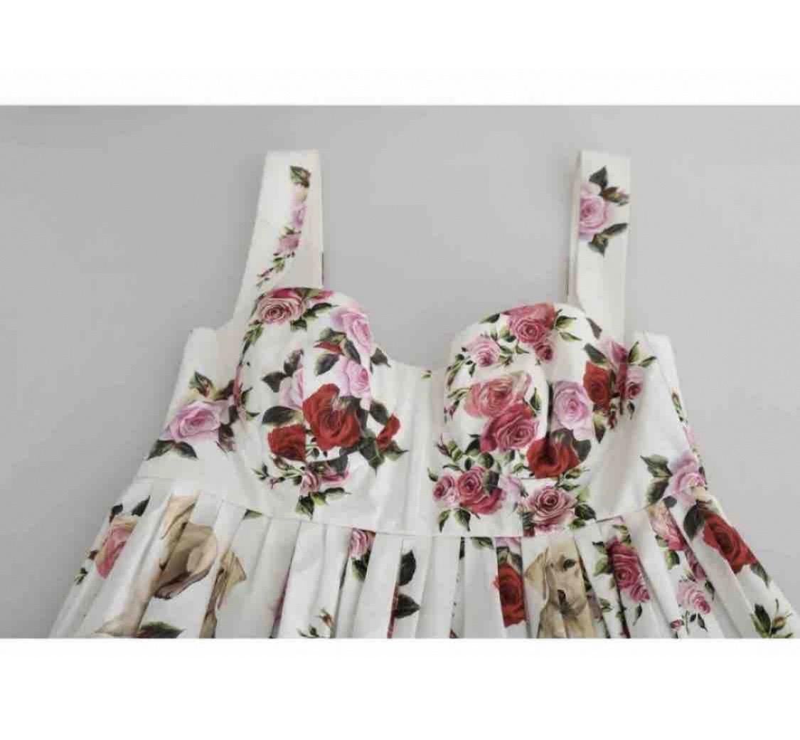 Dolce & Gabbana Empire Knielanges weißes, geblümtes, Labrador bedrucktes Kleid (Braun)