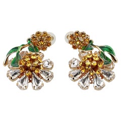Dolce & Gabbana Fashion Jewelry Clip Earrings