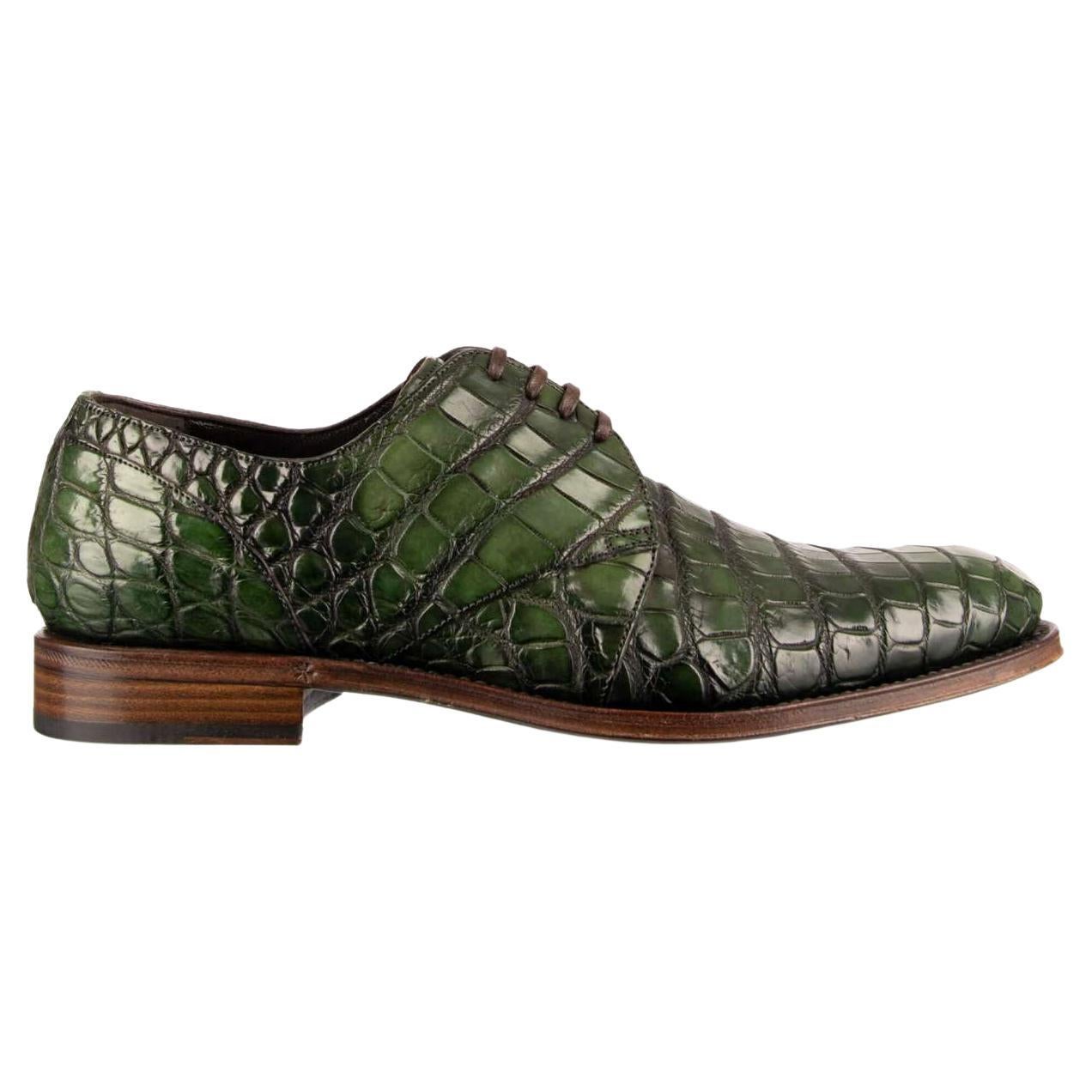 Dolce & Gabbana Formal Crocodile Leather Shoes NAPOLI Good Year Green EUR 39 For Sale