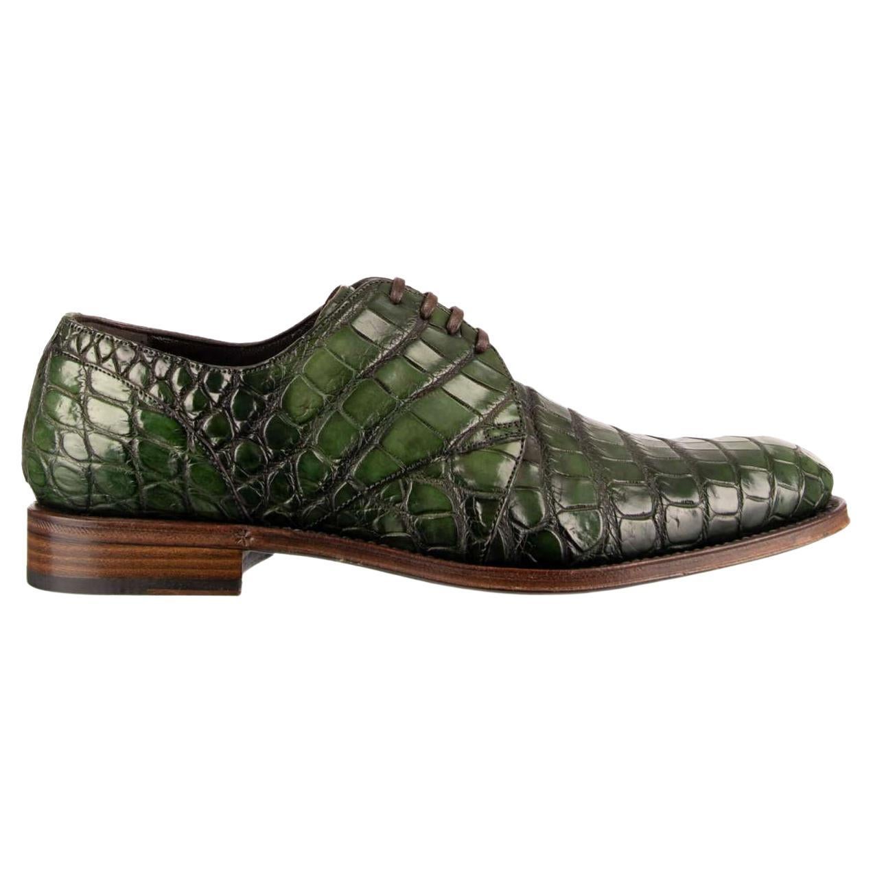 Dolce and Gabbana Formal Crocodile Leather Shoes NAPOLI Good Year
