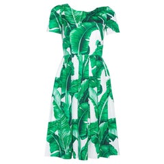 Dolce & Gabbana Green and White Banana Leaf Print Cotton Midi Dress M