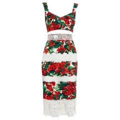 Dolce & Gabbana Hydrangea Printed Crepe & Paneled Lace Cropped Top & Skirt Set S