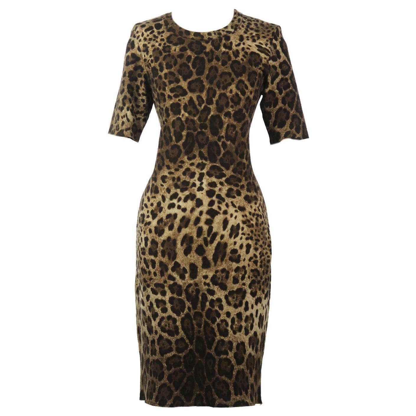 Dolce & Gabbana Leopard Print Cashmere Blend Dress