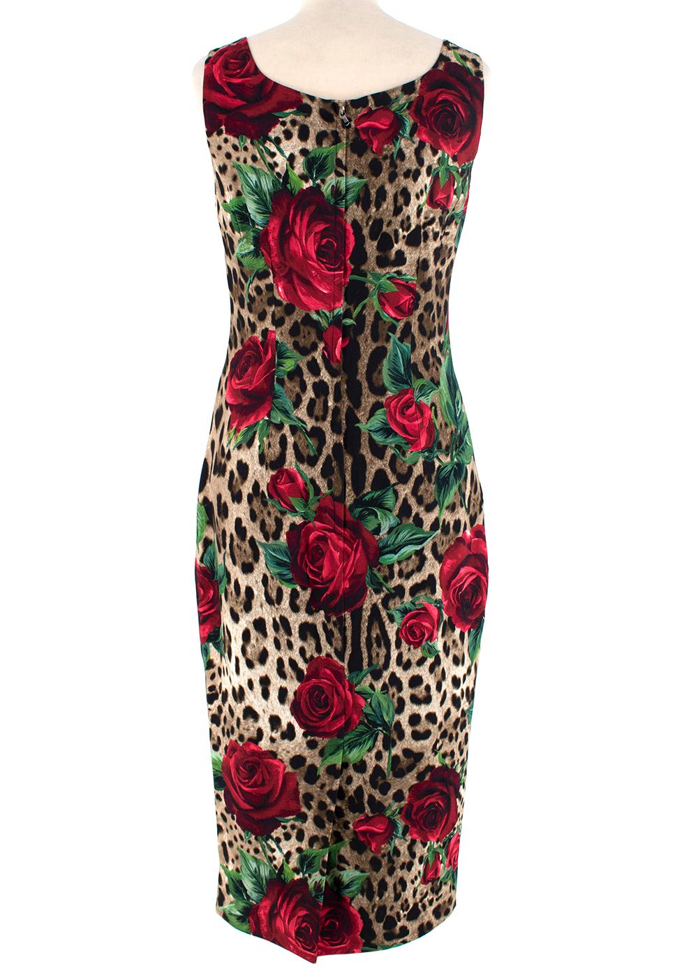 dolce and gabbana leopard and rose dress