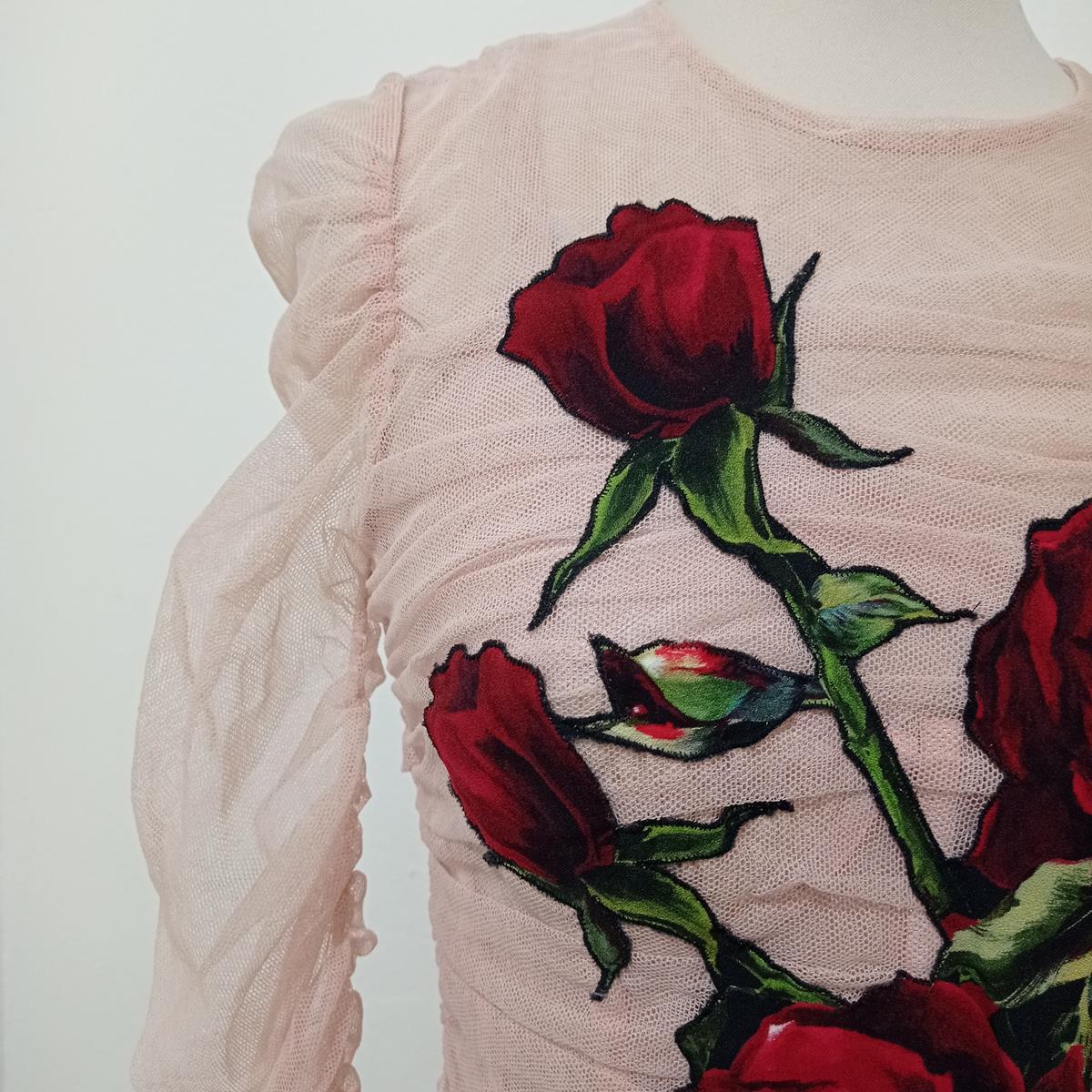 dolce and gabbana rose dress