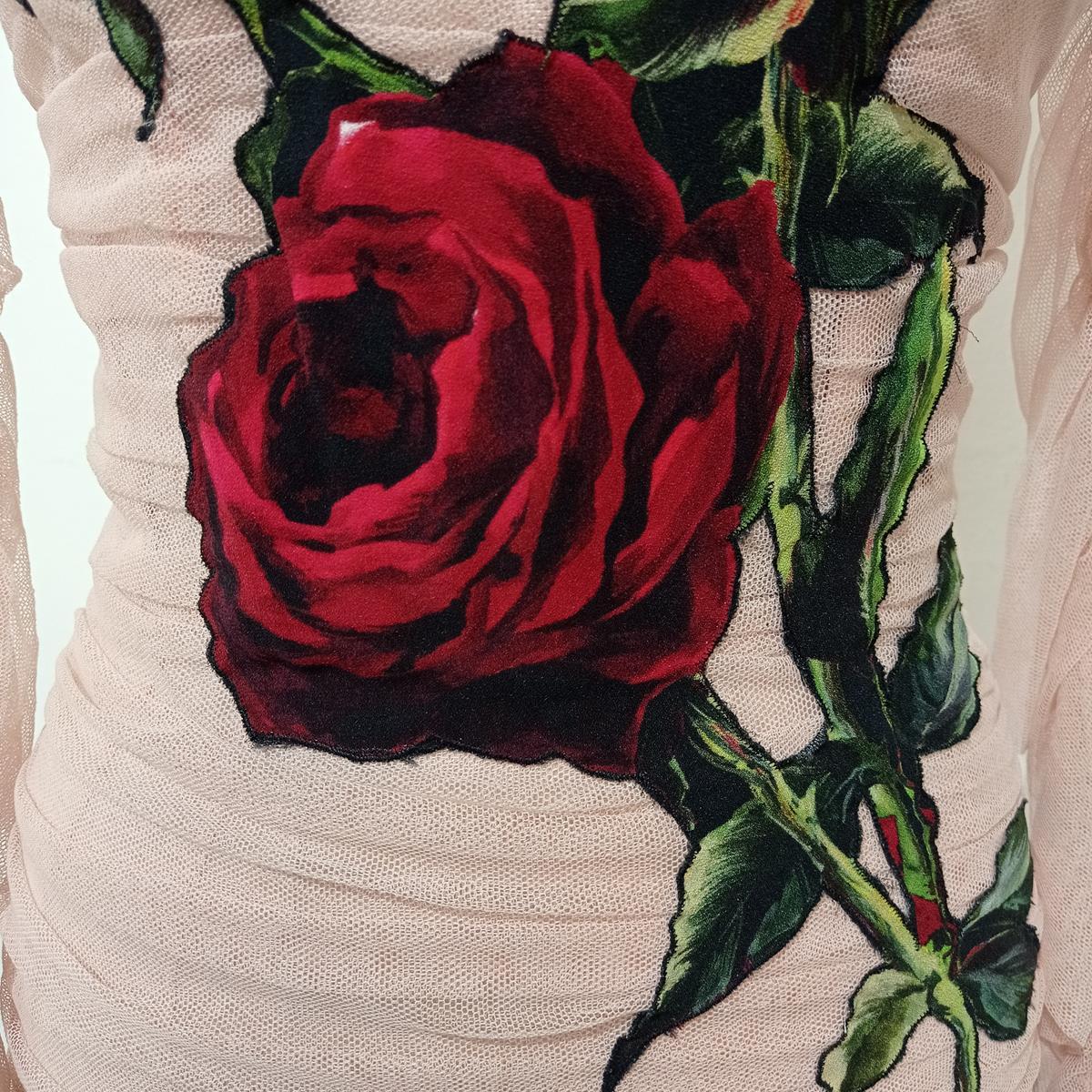 dolce gabbana tulle dress