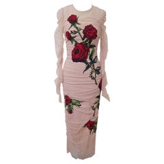 Dolce & Gabbana Long Tulle Dress 42 IT