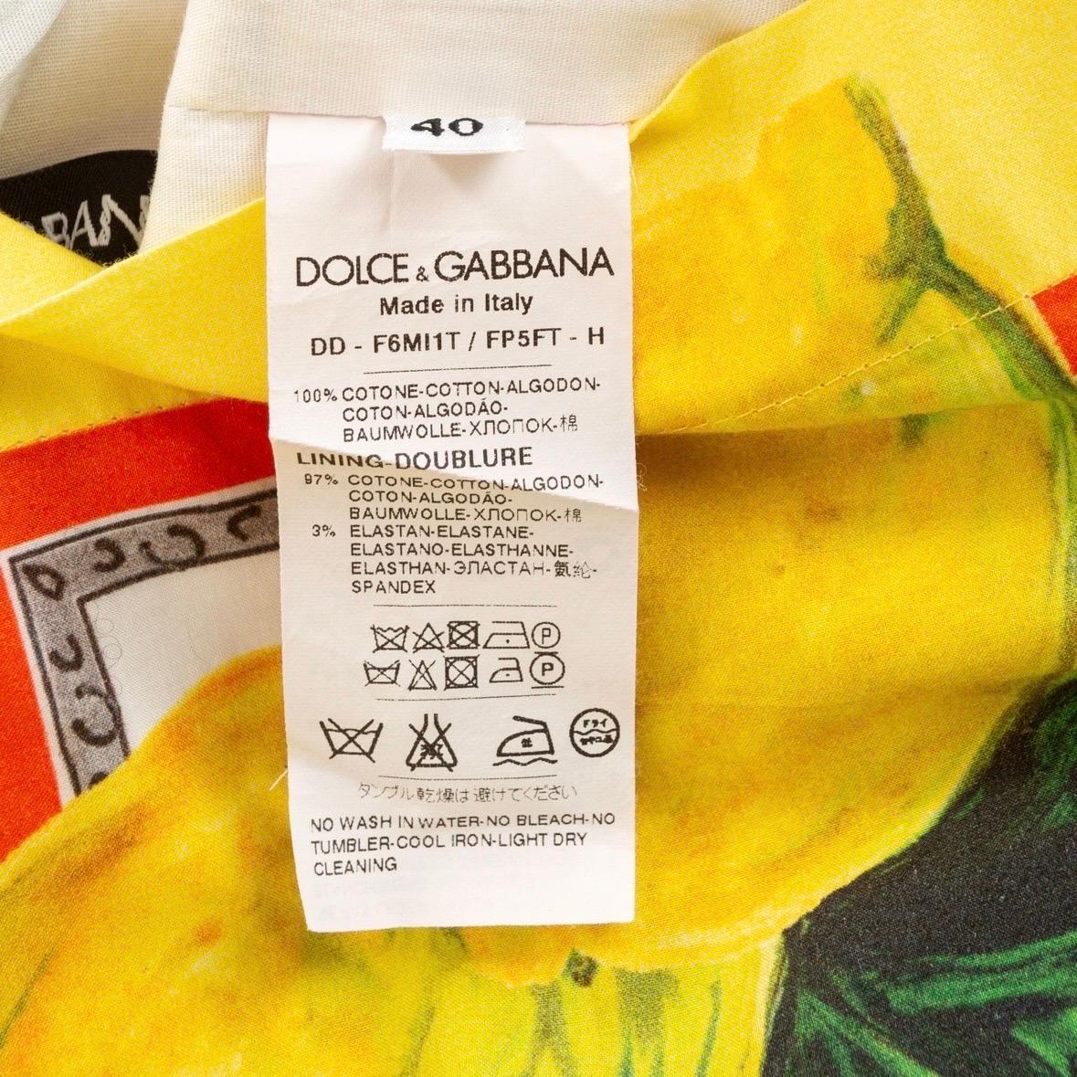 Dolce & Gabbana Majolica and Lemon Print Dress 5
