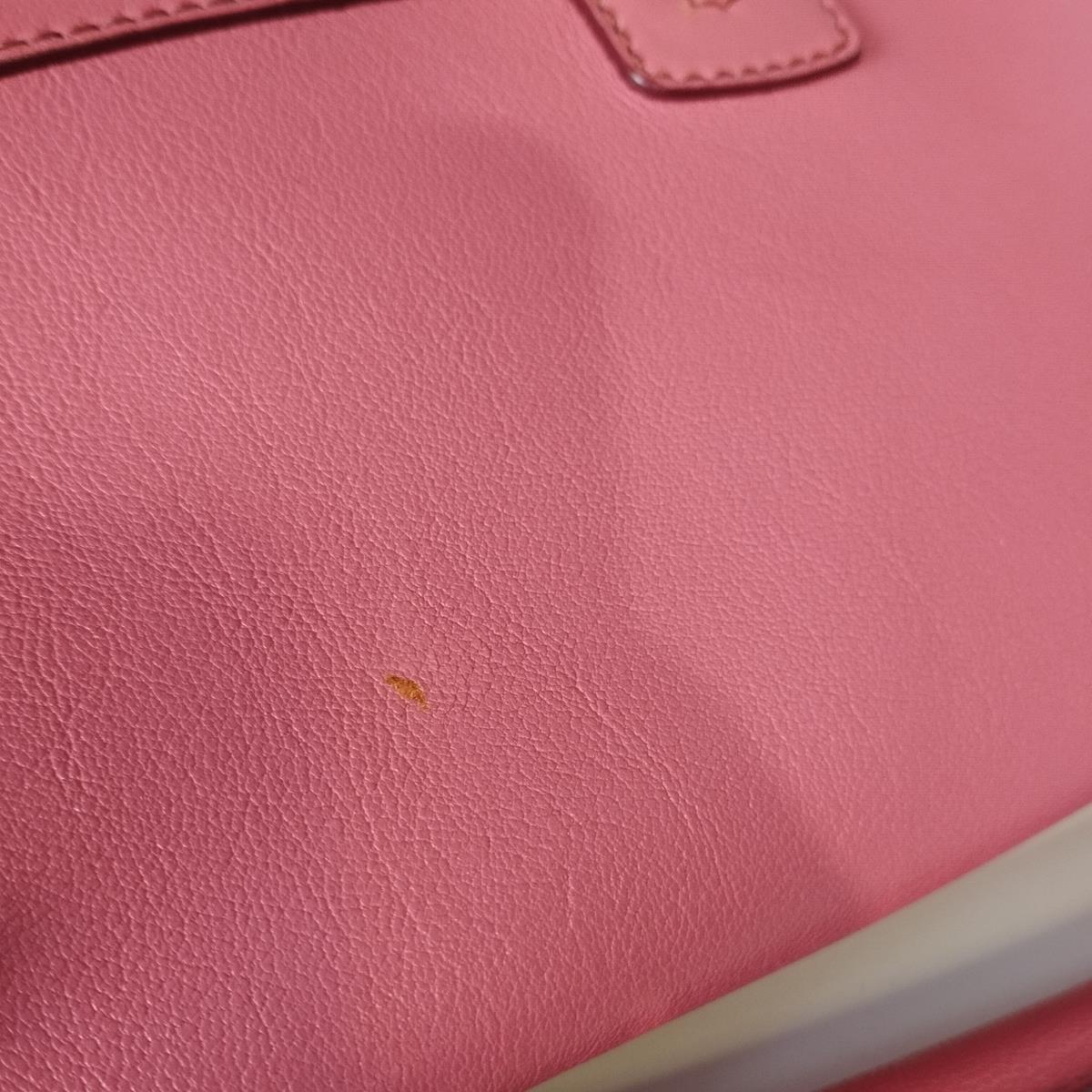 Dolce & Gabbana Miss Bonita Pink Bag For Sale 4