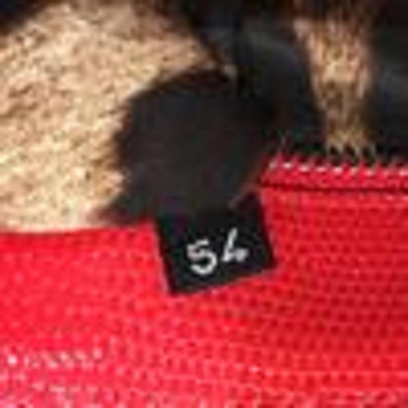 Dolce & Gabbana Monica Handbag Lizard Embossed Leather Medium 5