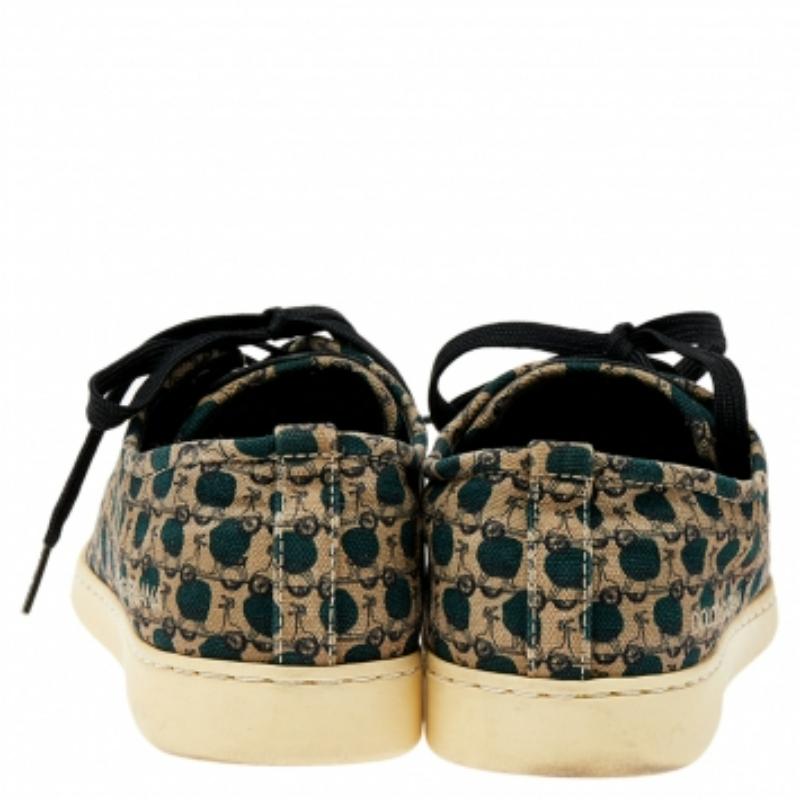 Noir Baskets basses Dolce & Gabbana en toile et cuir multicolore