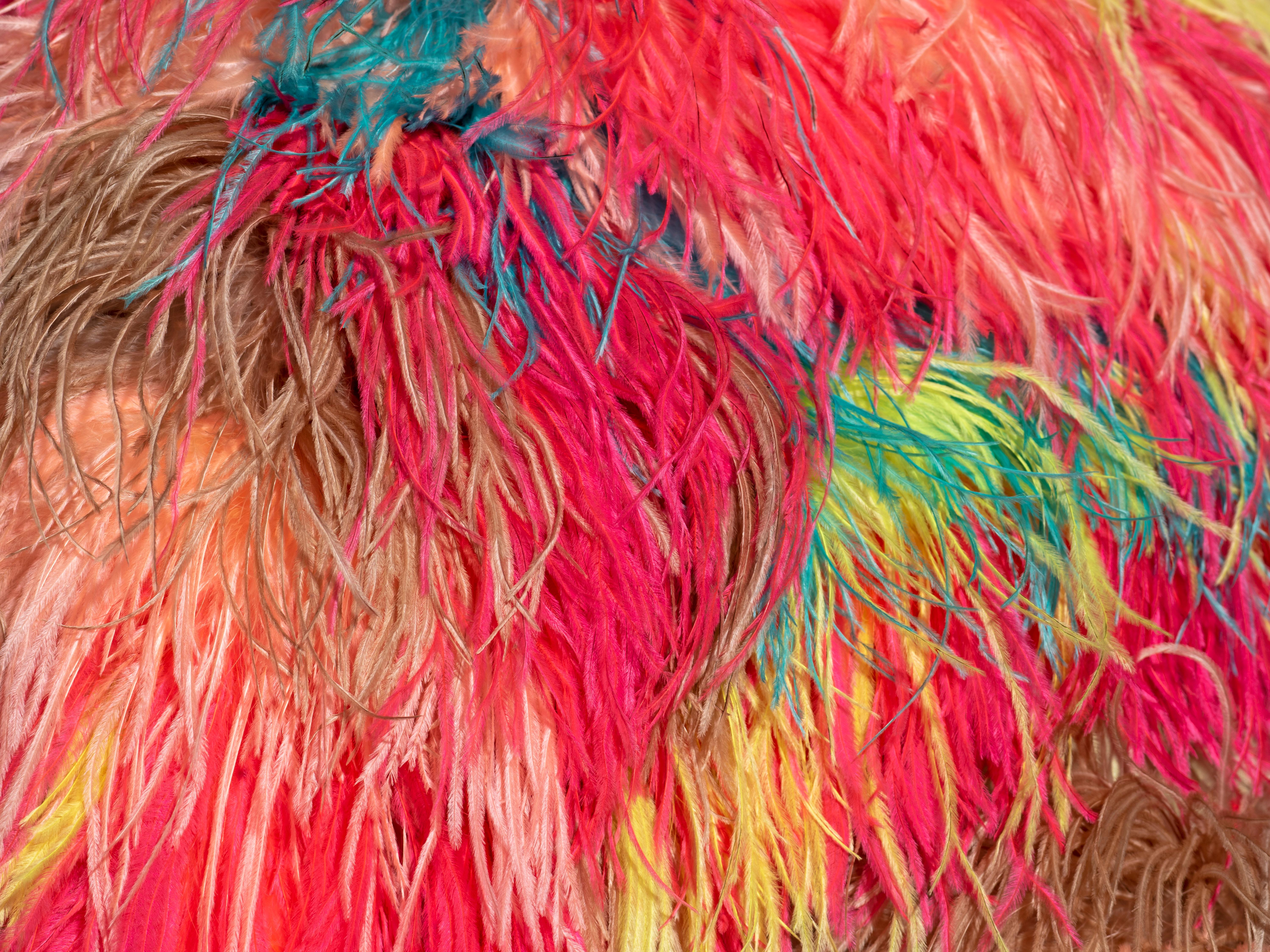 Veste boléro multicolore ornée de plumes d'autruche Dolce & Gabbana, A/H 2021 en vente 1