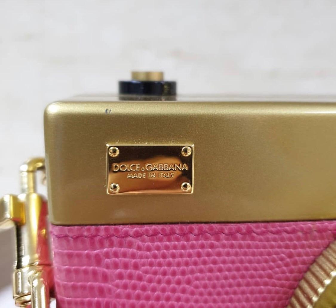 Brown Dolce & Gabbana Pink Camera Bag