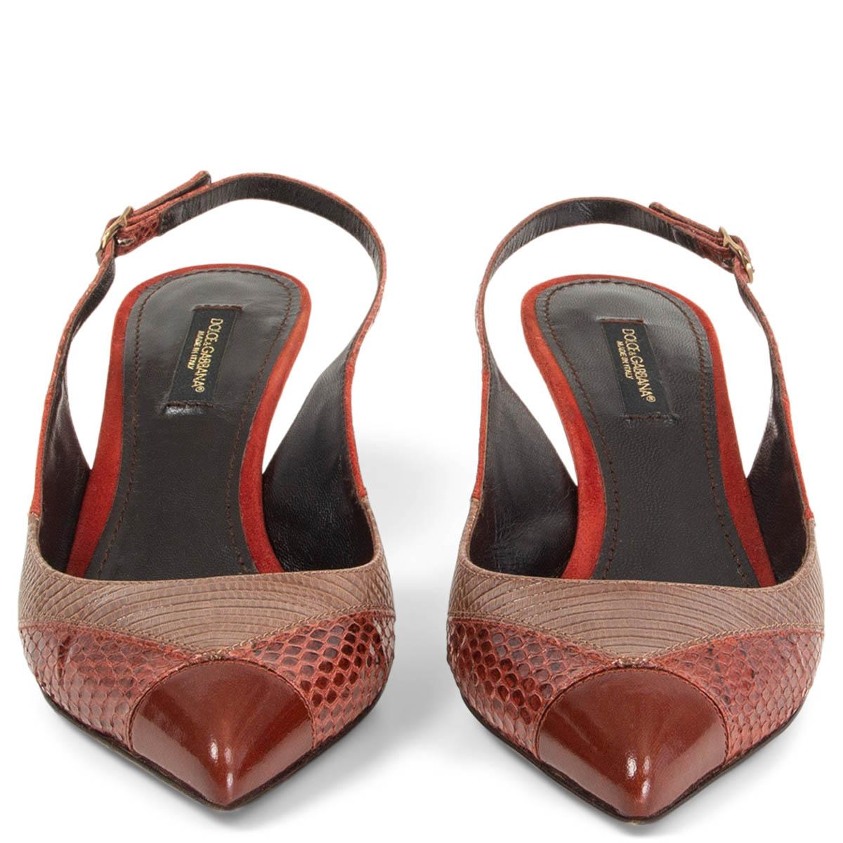 100% authentic Dolce & Gabbana pointed-toe, kitten-heel, patch-work slingbacks in brown, rust and brick colored lizard, snakeskin and calfskin. Have been worn and are in excellent condition. 

Measurements
Imprinted Size	36.5
Shoe Size	36.5
Inside