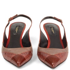 DOLCE & GABBANA red Snakeskin Lizard PATCHWORK POINTED TOE Pumps Shoes 36.5